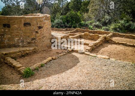 Cedar Tree House im Mesa Verde National Park, Colorado Stockfoto