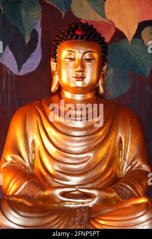 Hong Hien TU buddhistischer Tempel. Buddha-Statue von Shakyamuni. Frejus. Frankreich. Stockfoto