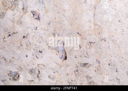 Dolomit Natursteinstruktur. Stein mit beigefarbenem Muster auf einer glatten Oberfläche. Fertigstellung von Baumaterial. Stockfoto