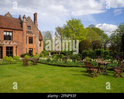 Chenies Manor nach Westen mit gepflegtem Rasen und Tulipa White 'Triumphator'; Gartenmöbel bereit für den Nachmittagstee an einem schönen Mainachmittag 2021. Stockfoto