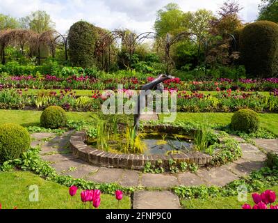Chenies Manor Garden 2021, ovaler Zierteich im versunkenen Garten, Alan Biggs Skulptur, „The Tauche“ in der Mitte und farbenfrohe Tulpen und Rasenflächen Stockfoto