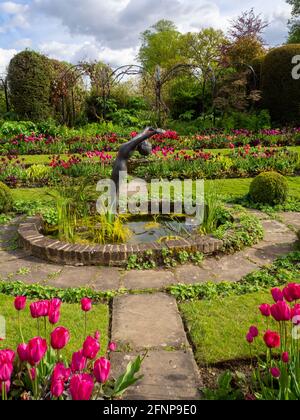 Chenies Manor Garden 2021, ovaler Zierteich im versunkenen Garten, Alan Biggs Skulptur, „The Tauche“ in der Mitte und farbenfrohe Tulpen und Rasenflächen Stockfoto