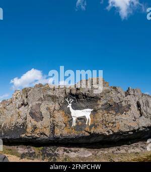 Der bemalte weiße Hirsch bei Stag Rocks, Bamburgh Beach, Northumberland, Großbritannien. Stockfoto