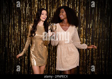 Foto von zwei edlen Damen halten Weingläser trinken Champagner-Clink Tragen Sie glänzende Kleider isoliert Lametta Hintergrund Stockfoto