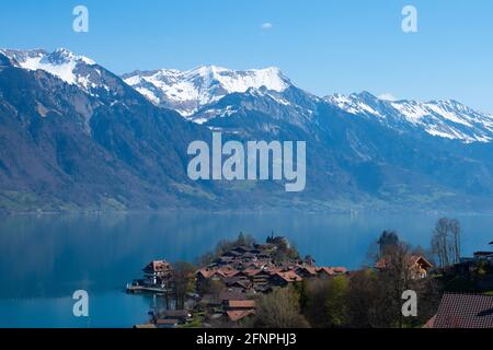 Schönes Schweizer Dorf Iseltwald am Brienzersee und schneebedeckt Berge Stockfoto