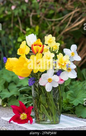 Bouquet von gelben und weißen Narzissen und Tulpen aus Glas Vase Stockfoto