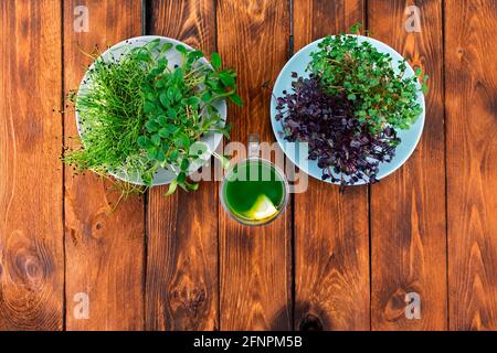 Microgreen Mix Smoothie und zwei Platten mit vielen verschiedenen Micro Greens auf einem Holztisch. Stockfoto