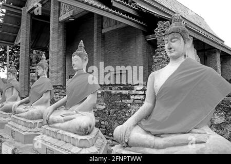 Monochromes Bild der Reihe des Buddha Bilder im Wat Yai Chai Mongkhon Tempel, Ayutthaya, Thailand Stockfoto