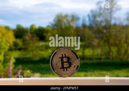 Bitcoin vs. Umwelt, Konzept. Bitcoin-Bergbau Auswirkungen auf die Natur und Ökologie. Repräsentative Münze auf dem Fenster mit schönen grünen Stockfoto