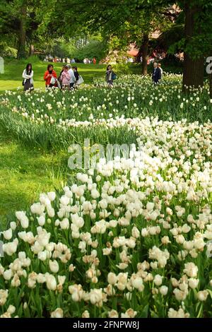 Pralormo, Piemont, Italien. -04-25-2009-Messer Tulipano Gartenbau Ausstellung mit Frühling Tulpen blühen in Pralormo Schloss. Stockfoto