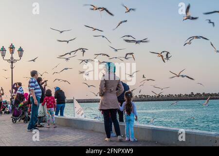 ABU DHABI, VAE - 7. MÄRZ 2017: Menschen beobachten Möwen in Marina Breakwater in Abu Dhabi, Vereinigte Arabische Emirate Stockfoto