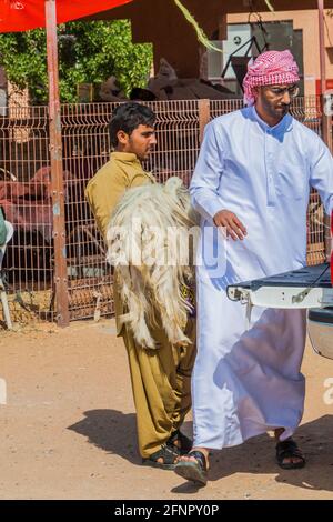AL AIN, VAE - 8. MÄRZ 2017: Verladung einer Ziege auf dem Tiermarkt in Al Ain, VAE Stockfoto