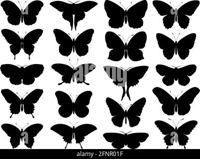 Schwarze Schmetterling Silhouetten. Umriss Schmetterlinge romantische Tätowierung, tropische Insekten Schablone. Sommer und Frühling exotische Symbole isoliert Vektor gesetzt. Elegante, wild fliegende Motte in verschiedenen Formen Stock Vektor
