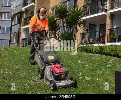 Groundsman schneidet Rasen, Großbritannien. Stockfoto