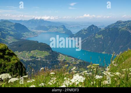 Malerischer Blick Auf Die Berge Von Fronalpstock Stockfoto