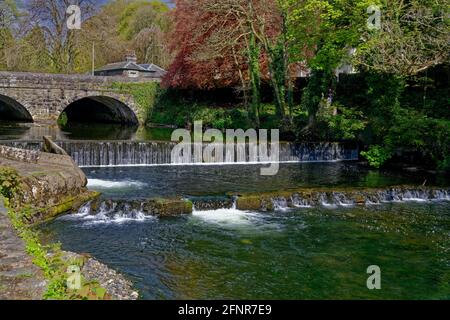 Blick auf die Brücke über den Fluss Tavy in Tavistock, West Devon Stockfoto