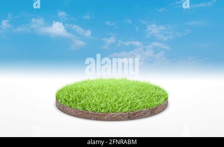 3D Rendering, Kreis Podium der Landwiese. Bodenquerschnitt mit grünem Gras über blauem Himmel Hintergrund. Stockfoto