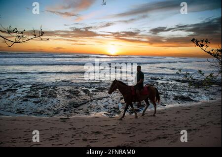 Reiten am Strand in Costa Rica Stockfoto