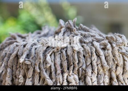 Die weißen Fasern des Mopps sind verschmutzt. Nahaufnahme Stockfoto