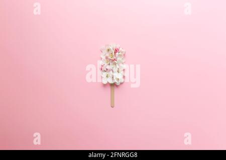 Flach auf rosa Hintergrund mit Apfelblüteneis legen Lolly auf einem Stock Stockfoto