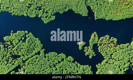 Bayingolin, China. Mai 2021. Die Schönheit des Schilfmeers am Bosten See in Bayingolin, Xinjiang, China am 18. Mai 2021.(Foto: TPG/cnsphotos) Quelle: TopPhoto/Alamy Live News Stockfoto