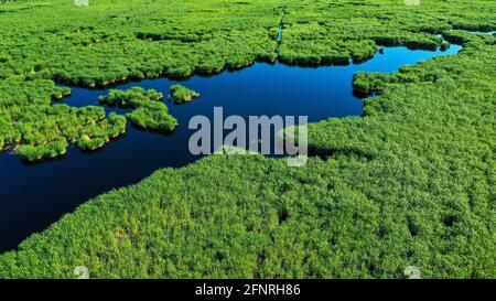 Bayingolin, China. Mai 2021. Die Schönheit des Schilfmeers am Bosten See in Bayingolin, Xinjiang, China am 18. Mai 2021.(Foto: TPG/cnsphotos) Quelle: TopPhoto/Alamy Live News Stockfoto