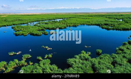 Bayingolin, China. Mai 2021. Die Schönheit des Schilfmeers am Bosten See in Bayingolin, Xinjiang, China am 18. Mai 2021.(Foto: TPG/cnsphotos) Quelle: TopPhoto/Alamy Live News Stockfoto