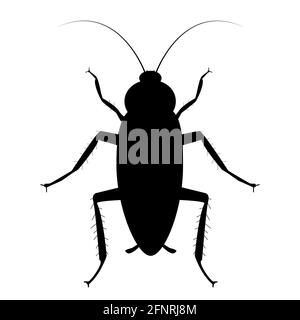 Kakerlaken-Bug-Symbol auf weißem Hintergrund. Kakerlaken-Schild. Flacher Stil. Insektizid-Spray und Insektizid-Symbol. Stockfoto