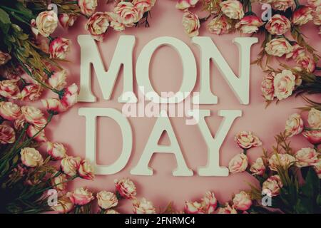 Montag-Alphabet mit blühender Blume auf rosa Hintergrund Stockfoto