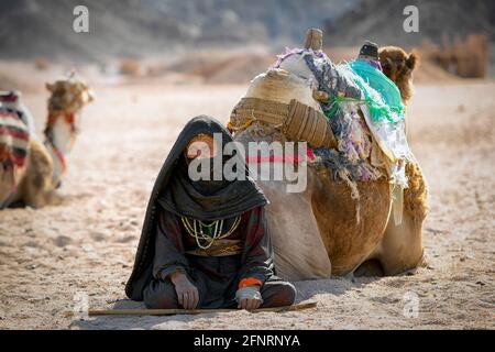 Beduinenlager in der Sahara bei Hurghada. Ägypten Stockfoto