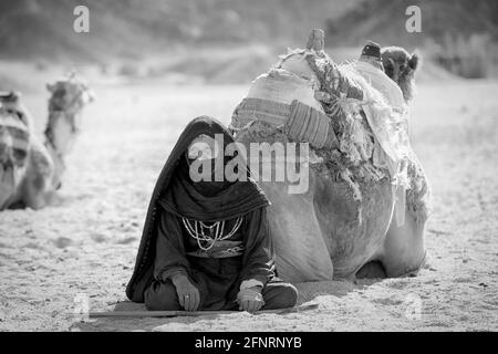 Beduinenlager in der Sahara bei Hurghada. Ägypten Stockfoto