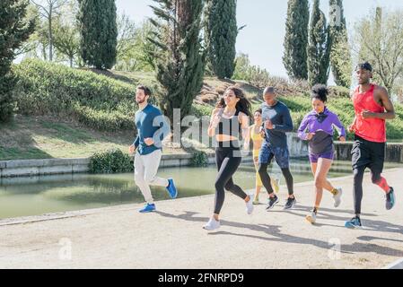 Gruppe von Läufern, die in einem Park trainieren. Stockfoto