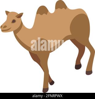 Symbol für Kameltiere. Isometrie des Camel-Tier-Vektorsymbols für Webdesign isoliert auf weißem Hintergrund Stock Vektor