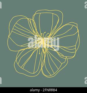 botanische floristische Kontur Blüte offene Knospen . Vektor isolierte minimalistische Blume Stockfoto