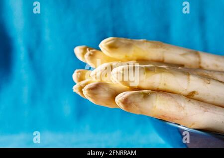 Detail von weißem ungekochten Spargel mit schönen Spitzen auf blau Platte und blauer Hintergrund Stockfoto