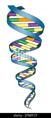 Grafische Darstellung des Symbols für Nukleinsäure, abgekürzt DNA. Nukleinsäure enthält die genetische Information aller Lebewesen. Stockfoto