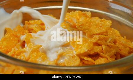 Milch spritzt beim Gießen auf goldene Cornflakes in einer Schüssel - selektiver Fokus Stockfoto