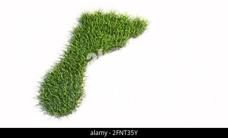 Konzept oder konzeptuelle grüne Sommer Rasen Gras Symbol Form isoliert weißen Hintergrund, Zeichen eines barfuß. 3d-Illustration Metapher für Natur, Gesundheit Stockfoto