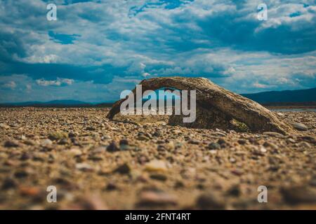 Ausgetrockneter Baumstamm am Ufer des Sees Stockfoto