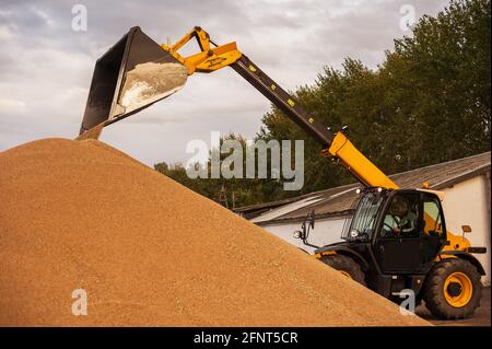 Körnerelevator. Getreidespeicher mit mechanischer Ausrüstung für Empfang, Reinigung, Trocknung, Getreideversand. Landwirtschaftlicher Bauernhof ländliche Landschaft. Getreidetraktor Stockfoto