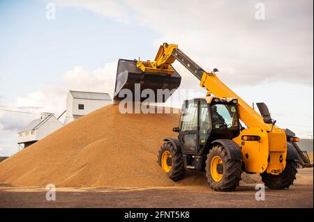 Körnerelevator. Getreidespeicher mit mechanischer Ausrüstung für Empfang, Reinigung, Trocknung, Getreideversand. Landwirtschaftlicher Bauernhof ländliche Landschaft. Getreidetraktor Stockfoto