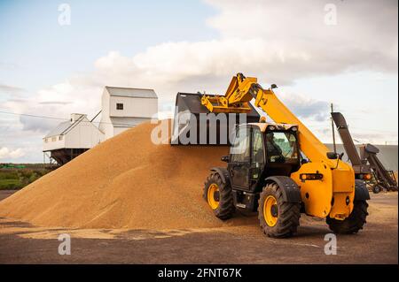 Körnerelevator. Getreidespeicher mit mechanischer Ausrüstung für Empfang, Reinigung, Trocknung, Getreideversand. Landwirtschaftlicher Bauernhof ländliche Landschaft. Getreidetraktor Stockfoto