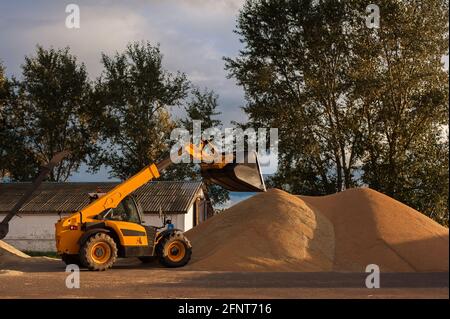 Körnerelevator. Getreidespeicher mit mechanischer Ausrüstung für Empfang, Reinigung, Trocknung, Getreideversand. Landwirtschaftlicher Bauernhof ländliche Landschaft. Getreidetraktor Stockfoto