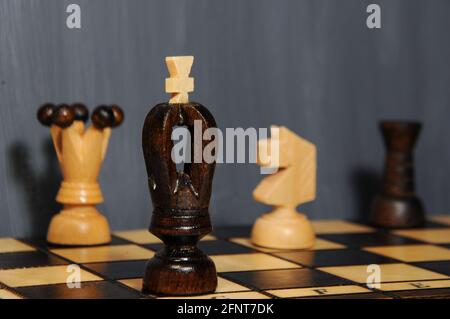 Schachfiguren - König, Königin, Turm und Ritter auf einem hölzernen Schachbrett auf dem grauen Hintergrund. Indoor-Hobby Stockfoto