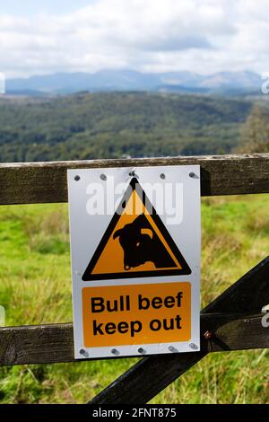 Schild, das die Leute warnt, sich in Cumbria, England, von einem Feld fernzuhalten. Das Feld hat einen Stier. Stockfoto