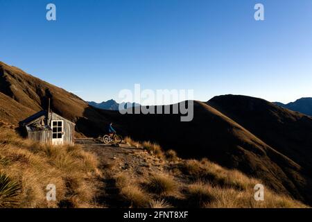 Mountainbike, Mount Judah Trails, Glenorchy. Model veröffentlicht Stockfoto