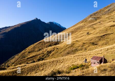 Mountainbike, Mount Judah Trails, Glenorchy. Model veröffentlicht Stockfoto