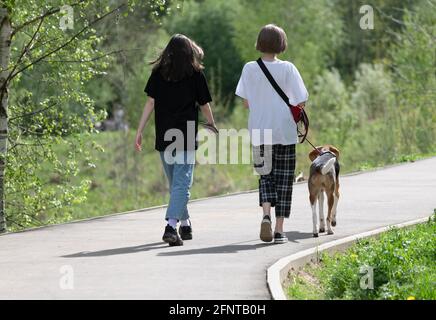 Zwei Teenager laufen den Hund an der Leine im Park Stockfoto