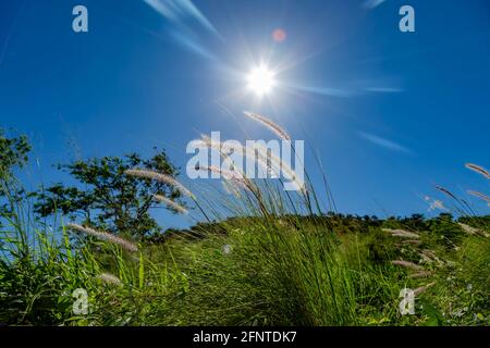 Morgens Sonne und Wolken über dem Hügel. Stockfoto
