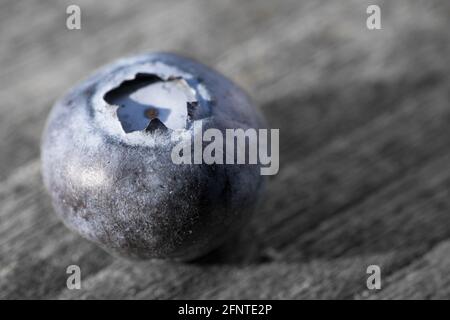 Einzelne köstliche und saftige dunkelblaue Heidelbeere liegt auf einem Holztisch Stockfoto